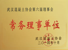 武汉市混凝土协会常务...